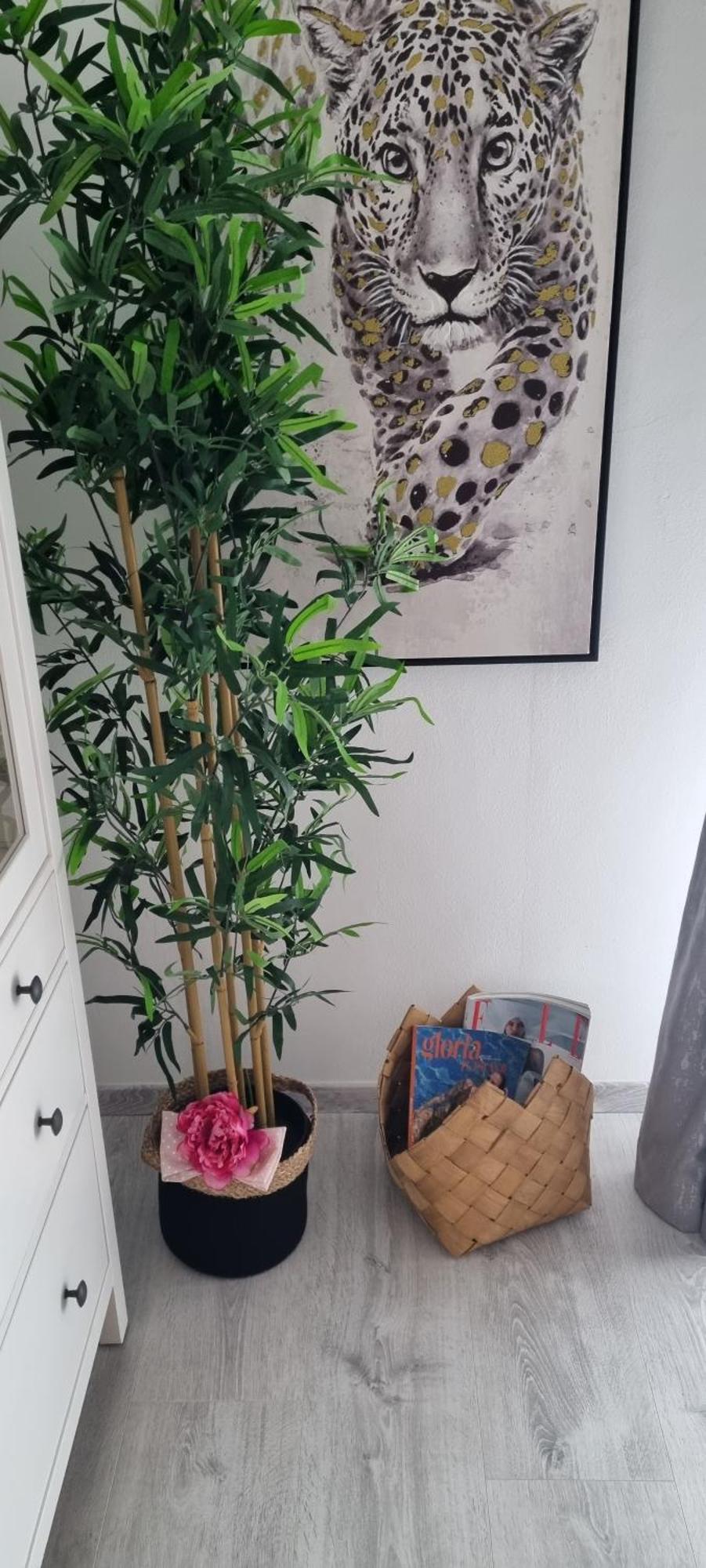 Babylu Apartman Zadar Extérieur photo