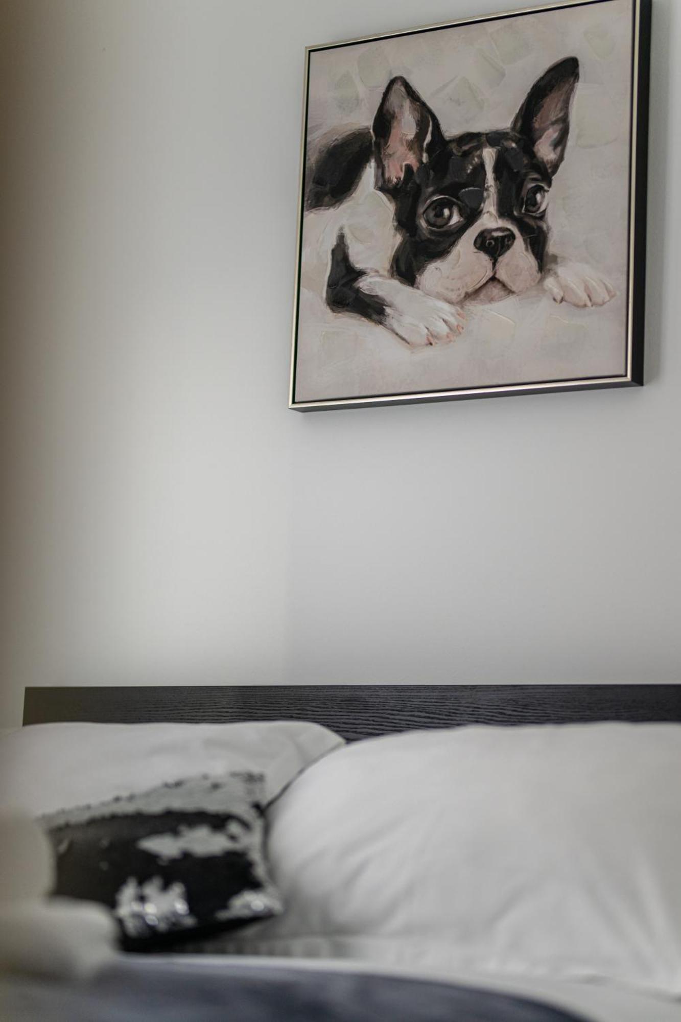 Babylu Apartman Zadar Extérieur photo